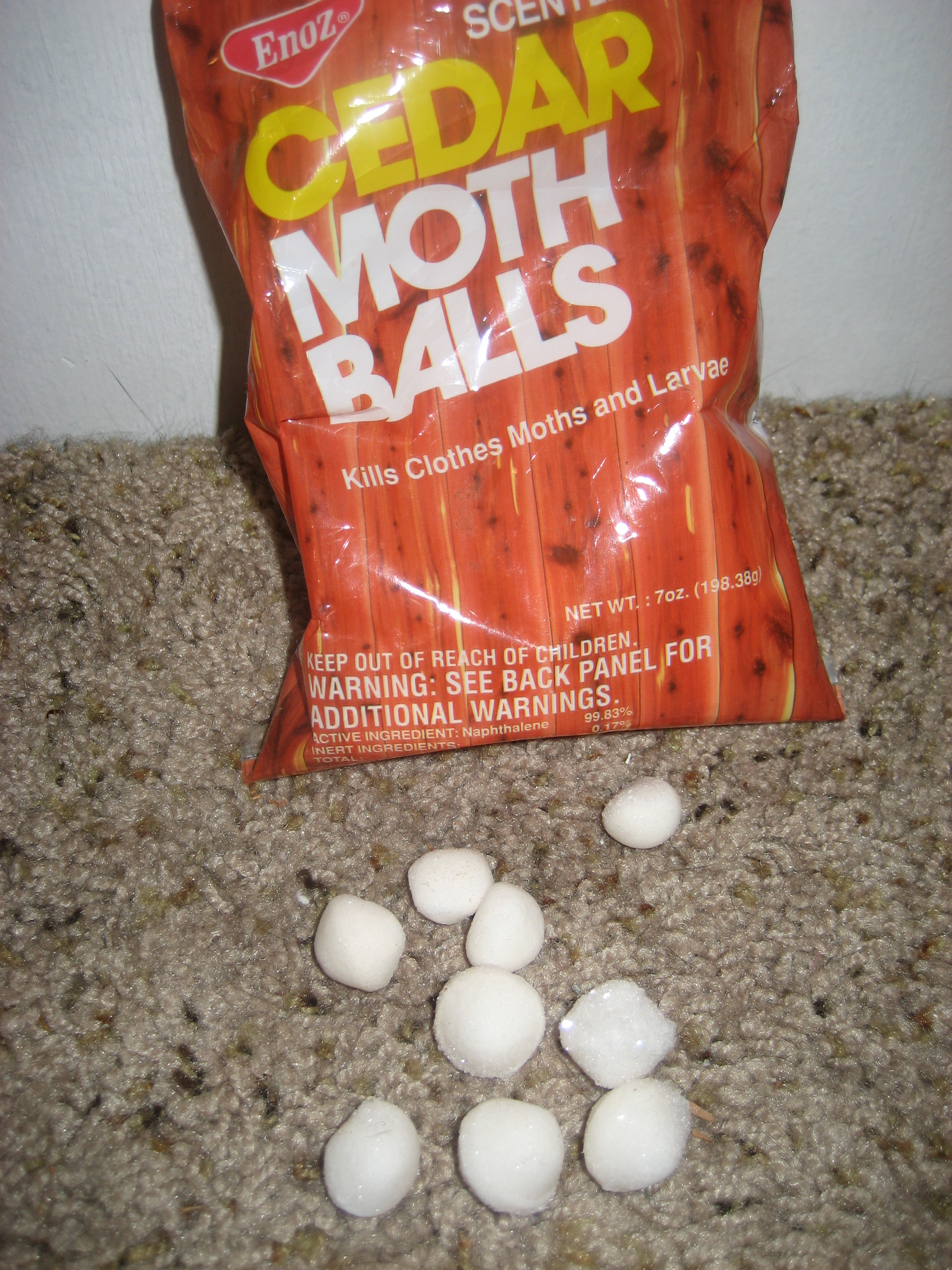 will moth balls keep dogs away