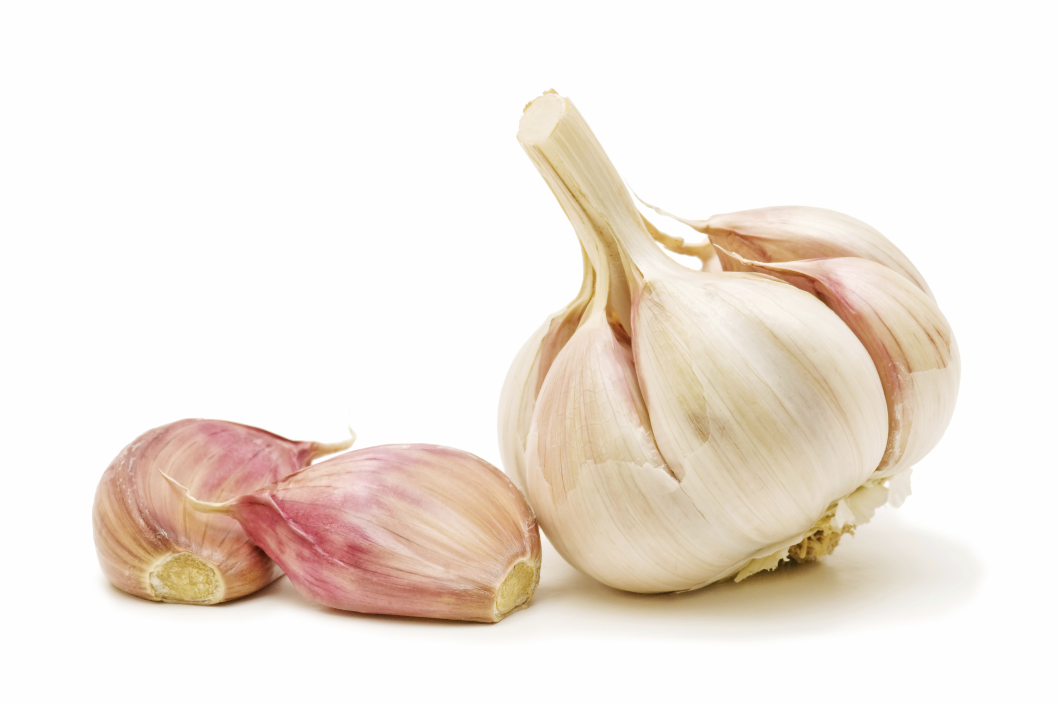 what are the signs of garlic poisoning in dogs