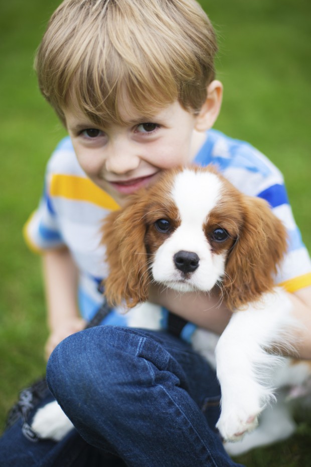 Your child is begging for a pet...now what? - Pet Poison Helpline