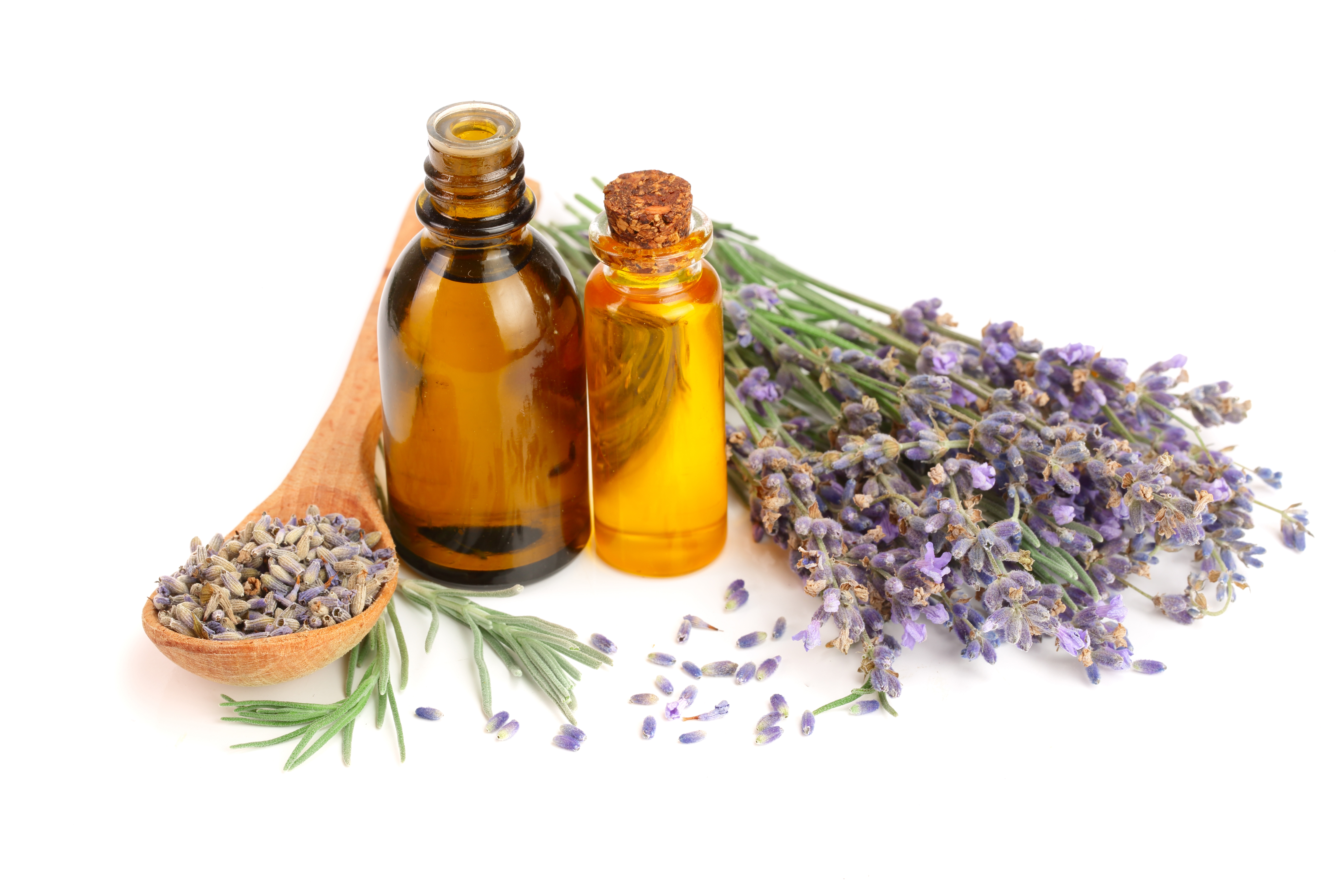 Is Lavender Oil Poisonous To Cats Cat Meme Stock Pictures And Photos