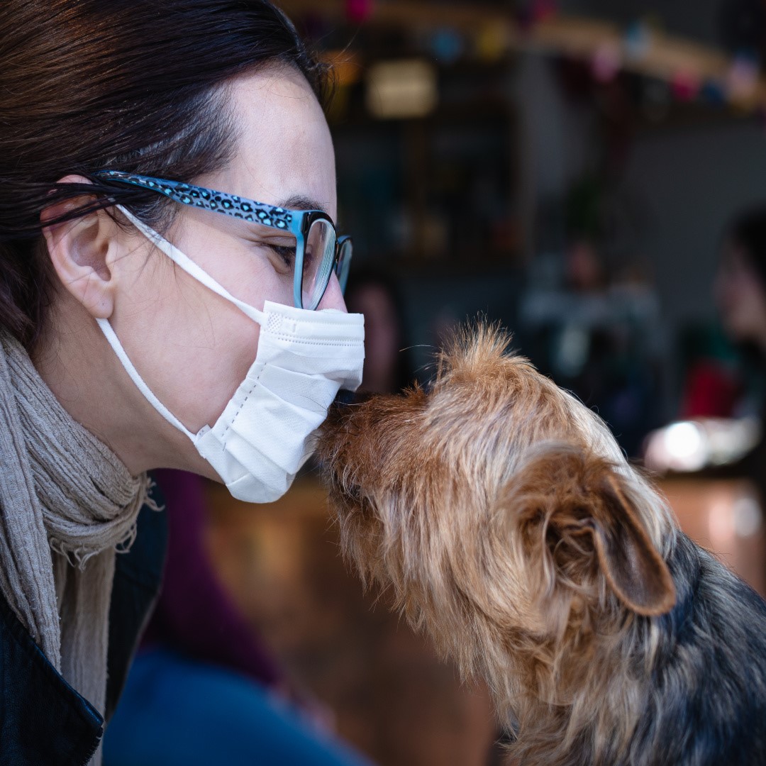 Helping Pets Adjust to Seeing Face Masks | Pet Poison Helpline